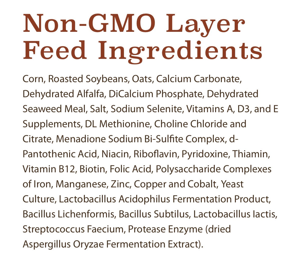 Chicken layer feed