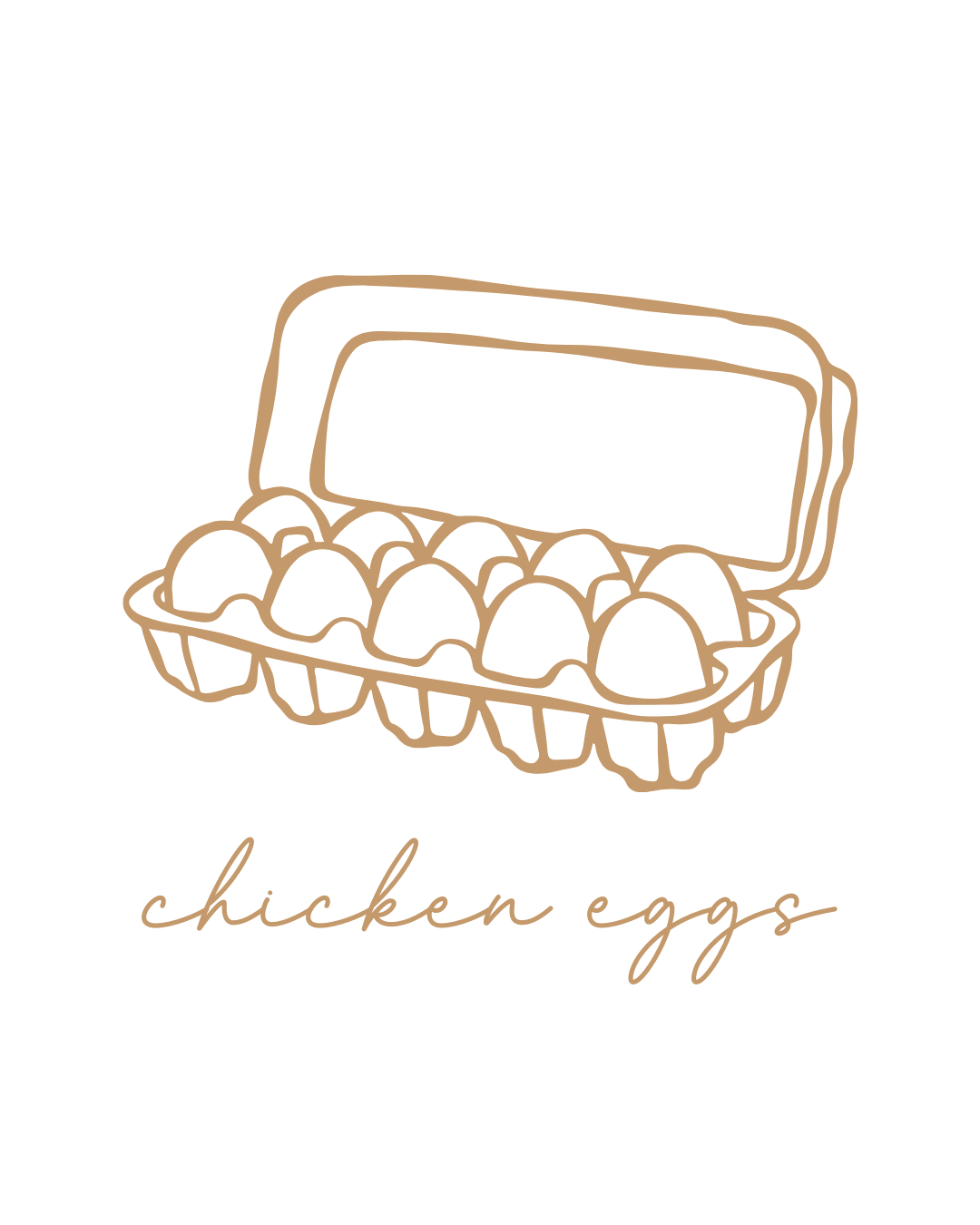 Chicken Eggs