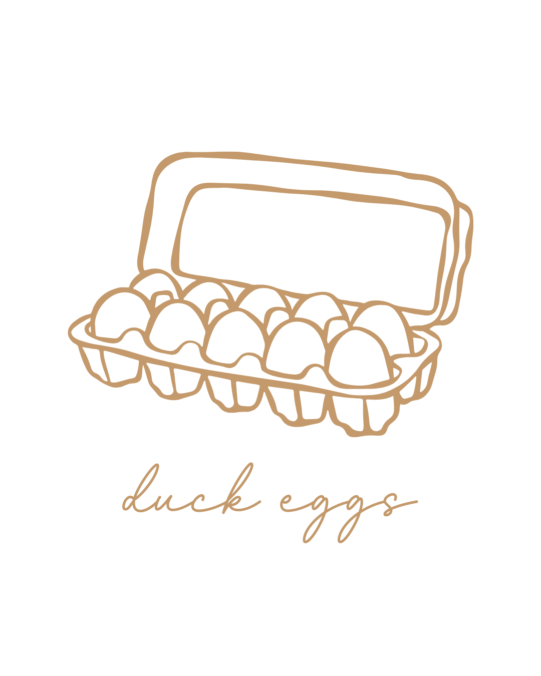 Duck Eggs