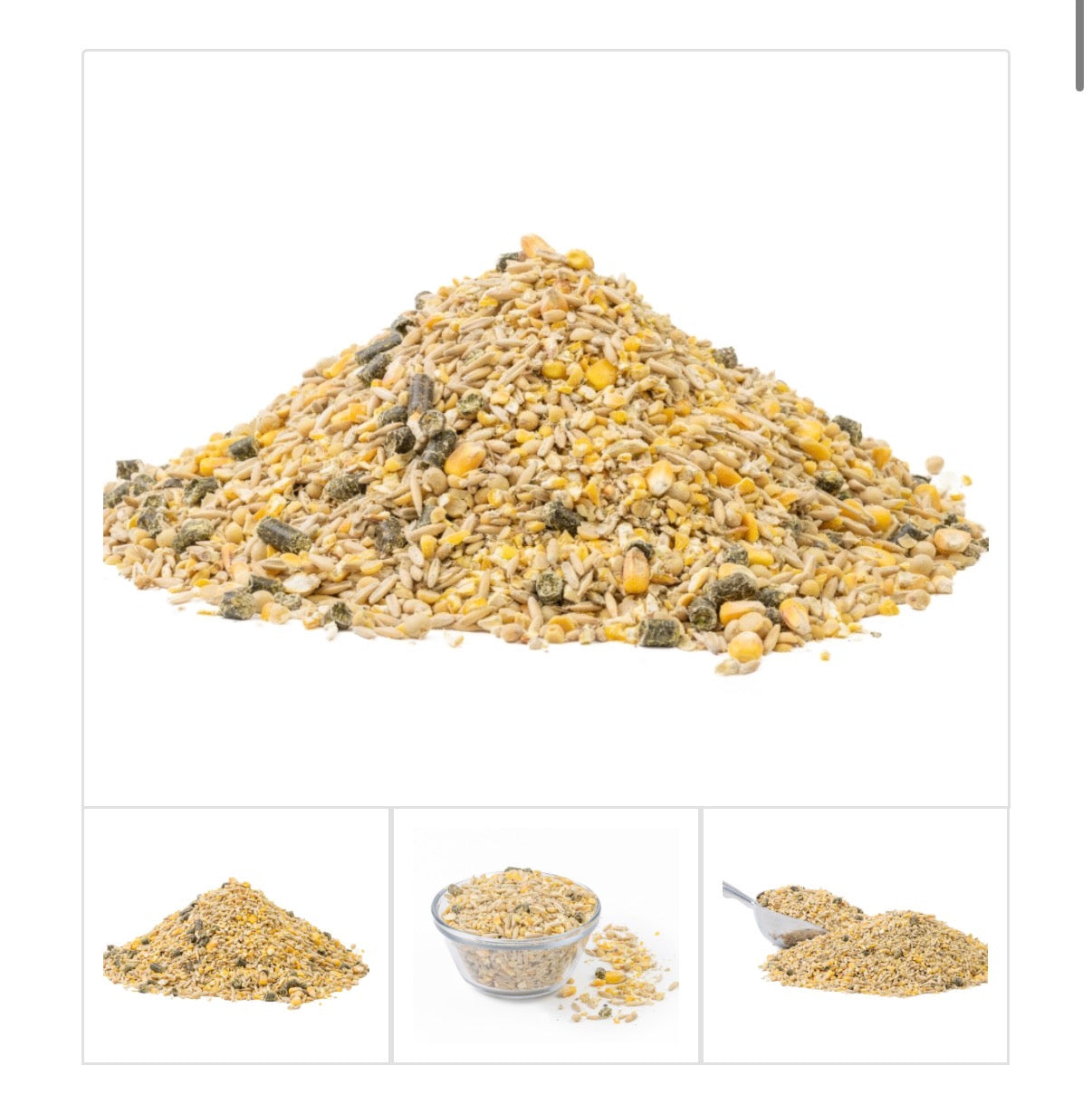 Cattle Feed