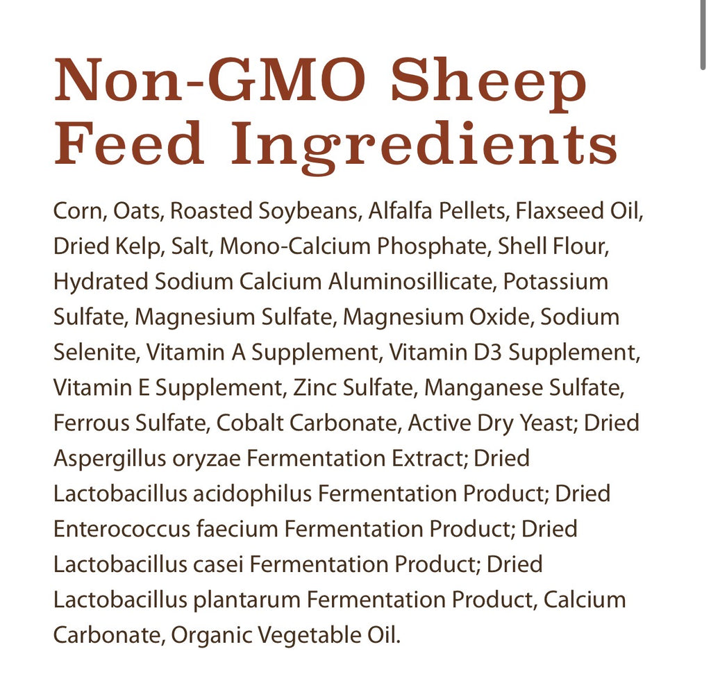 Sheep Feed