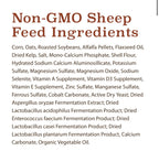 Sheep Feed