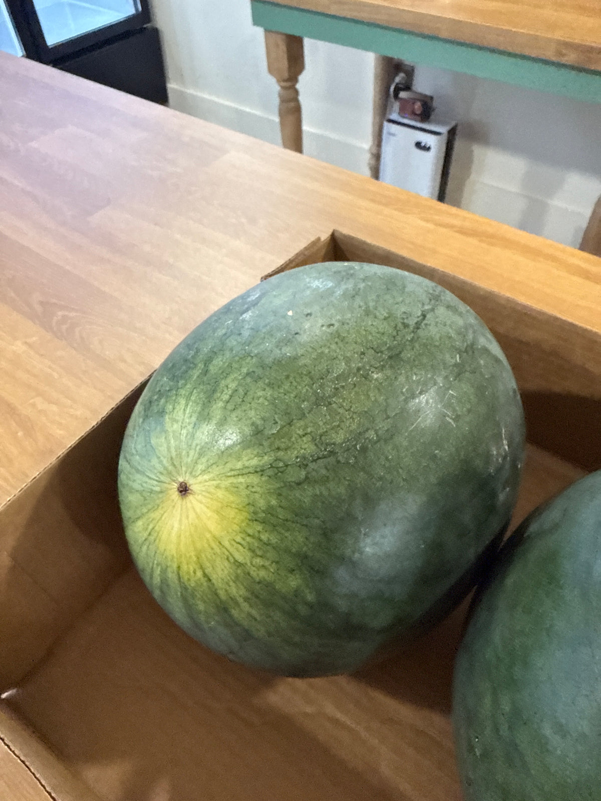 Watermelons