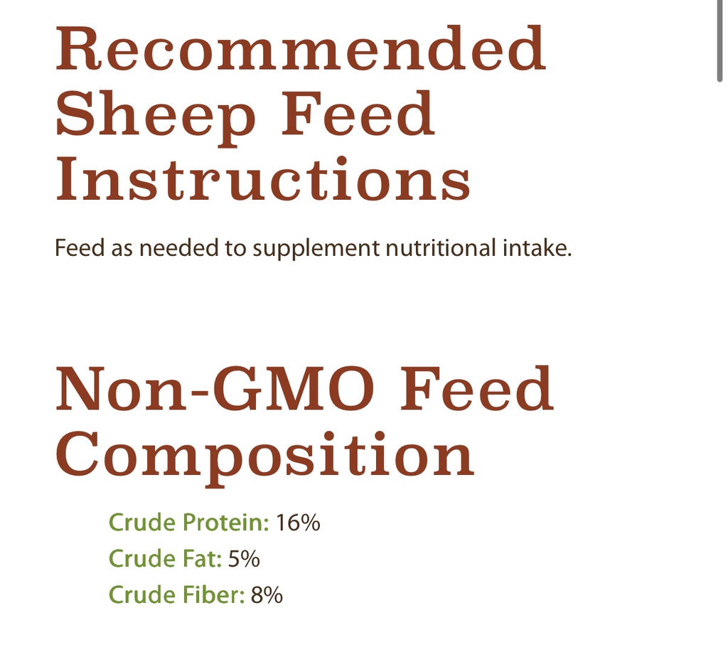 Sheep Feed