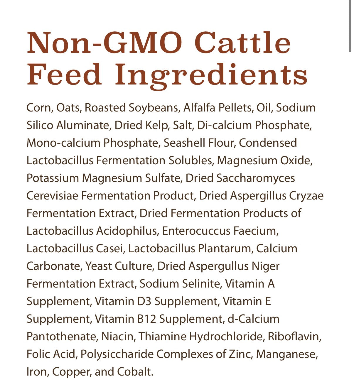 Cattle Feed