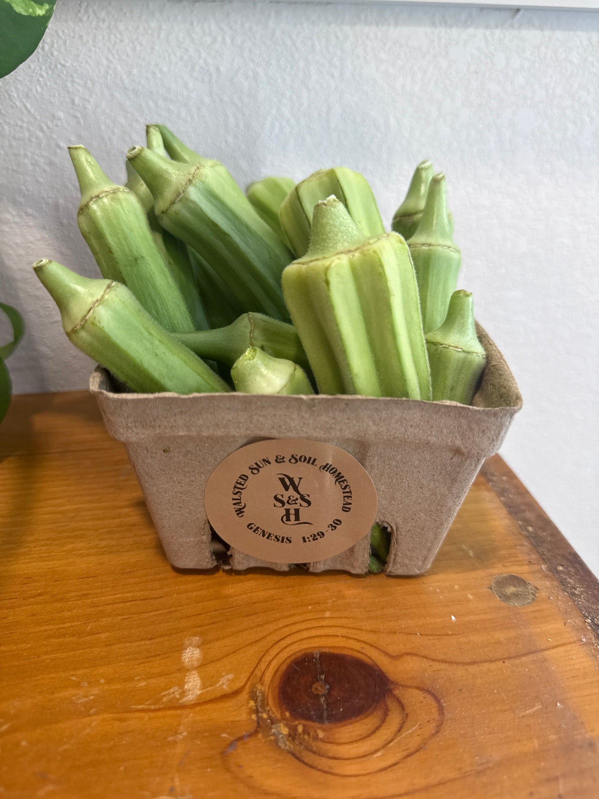 Okra
