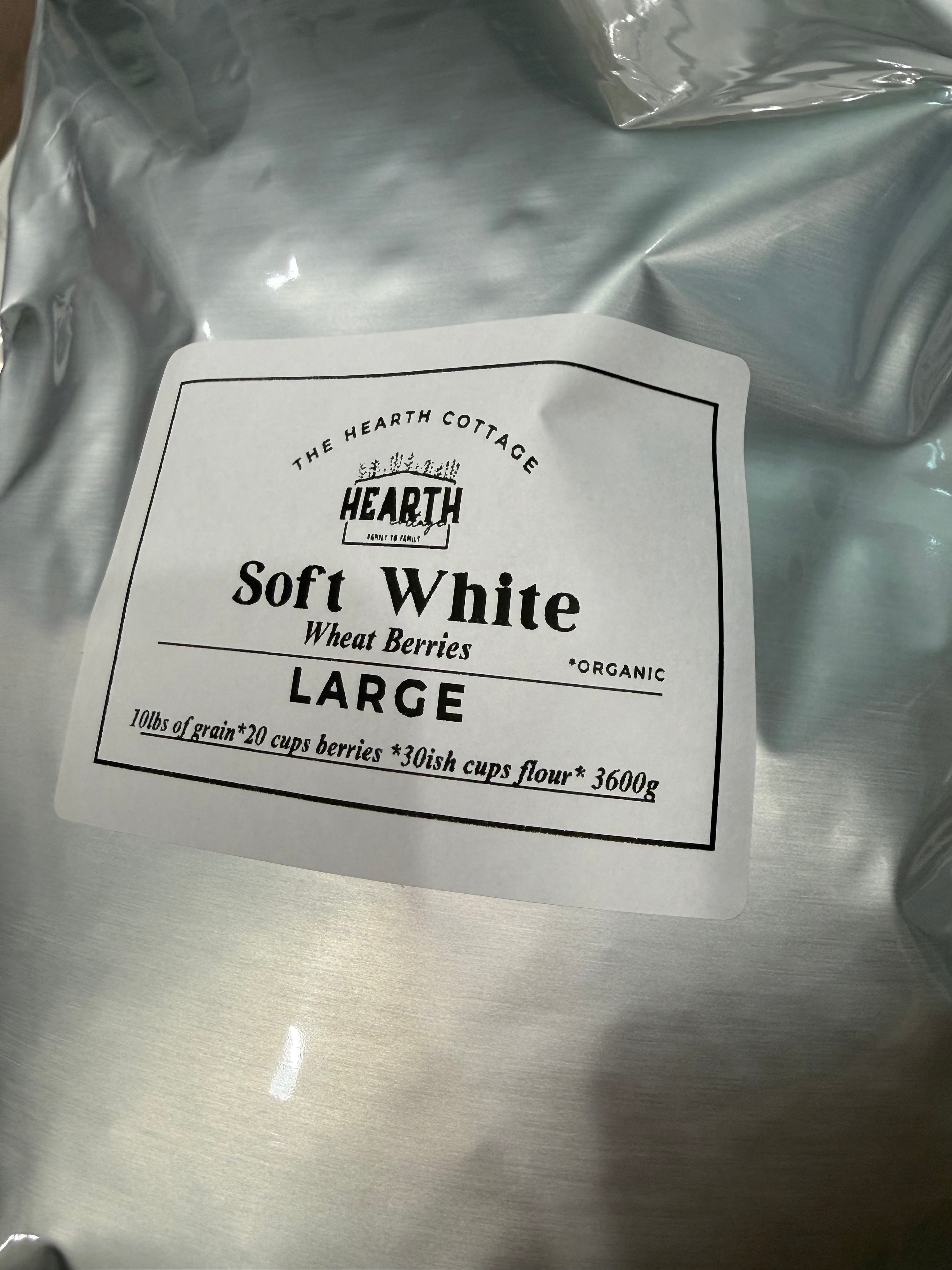 LARGE Soft White Grains